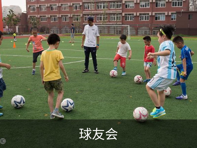 球友会概况